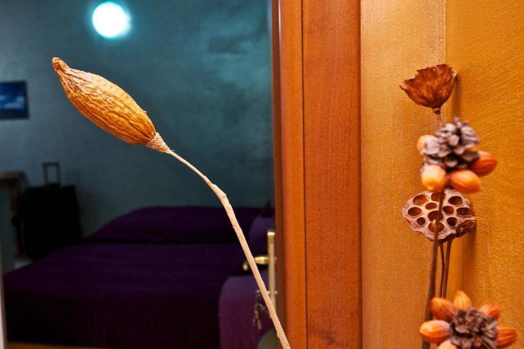 Guesthouse Il Gong Roma Eksteriør bilde